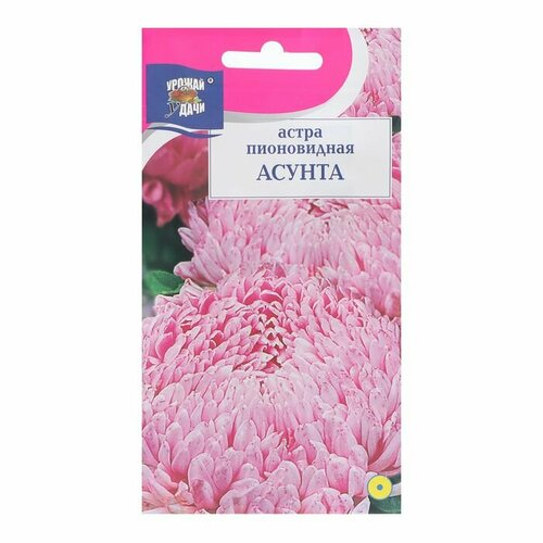 Семена цветов Астра пионовидная Асунта, 0,3 г ( 1 упаковка ) семена астра белая башня пионовидная 65шт для дачи сада огорода теплицы рассады в домашних условиях