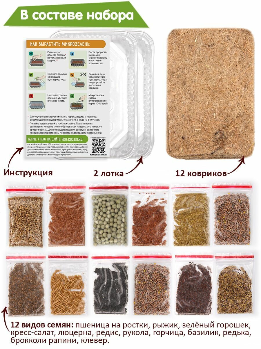Набор «Семена для выращивания микрозелени 12 видов» — фото 1
