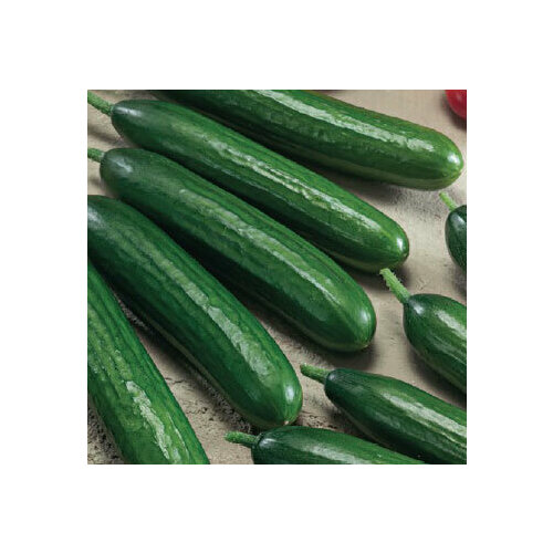 Семена огурцов Оконно-балконный F1 (0,2 гр.)