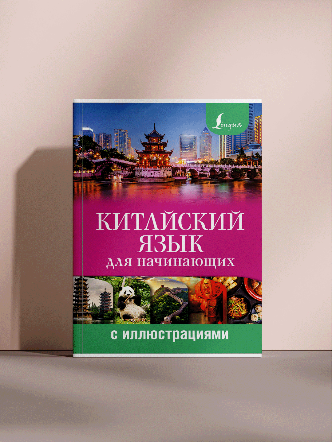 Учебник «Китайский язык для начинающих (с иллюстрациями)» (А4 Формат)