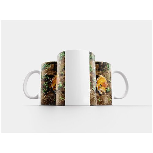 фото Кружка "животное, фокс, сон" 320 мл lotsprints