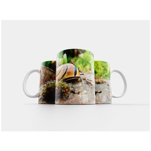 фото Кружка "улитка, корпус, природа" 320 мл lotsprints