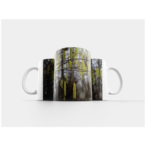 фото Кружка "лещина обыкновенная, соцветия, мужской цветок" 320 мл lotsprints