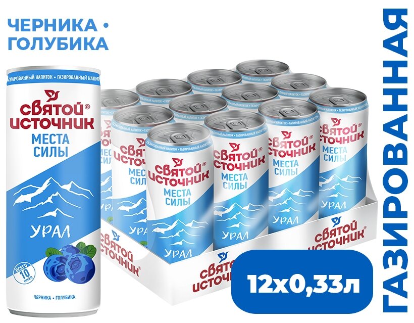 Вода Святой источник Места силы Урал газированная 0,33 с ароматом ирги, голубики и экстрактом черники 12 штук железная банка - фотография № 1