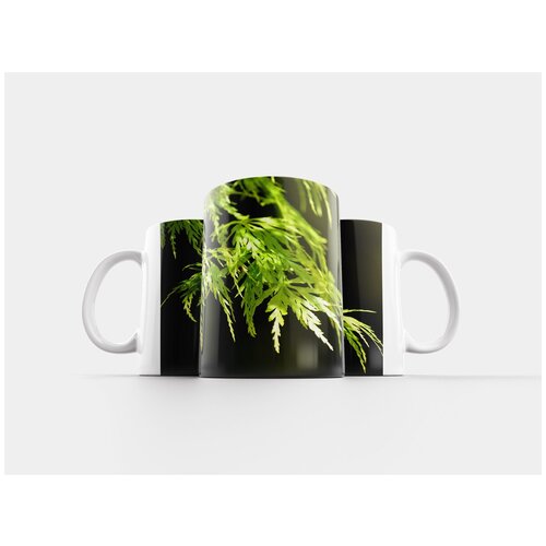 фото Кружка "листва, папоротник, листья" 320 мл lotsprints