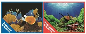 Фон для аквариума Prime самоклеющийся Морские кораллы/Подводный мир 50x100см