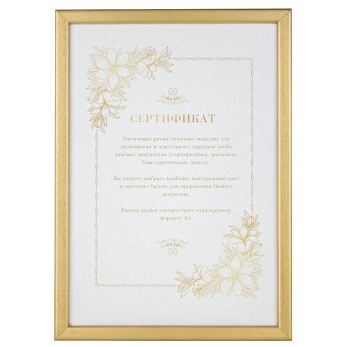 Фоторамка Мирам certificate А4 21х29,7,золото (521430-A4)