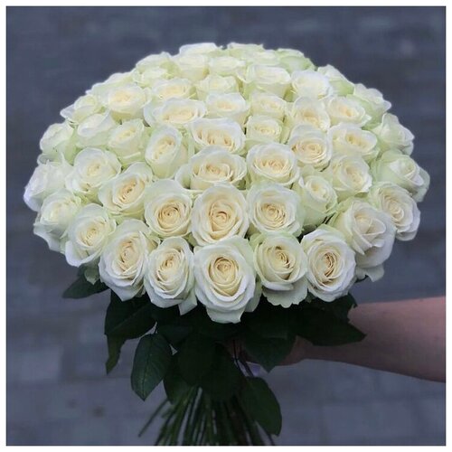 Букет из 51 белой розы