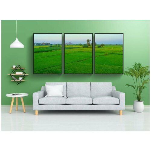 фото Набор модулных постеров для интерьера "рисовые поля, пэдди культивирование, тунгабхадра равнины" 60x90 см. в тубусе, без рамки lotsprints