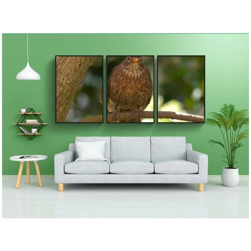 фото Набор модулных постеров для интерьера "птица, дроссельной заслонки, певчая птица" 60x90 см. в тубусе, без рамки lotsprints