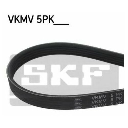 фото Ремень поликлиновой skf vkmv 5pk907 для fiat croma, tipo