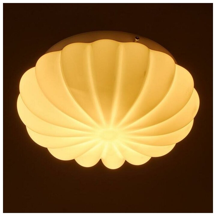 Светильник "Ракушка" 1 лампа E27 60 Вт мол. - фотография № 3