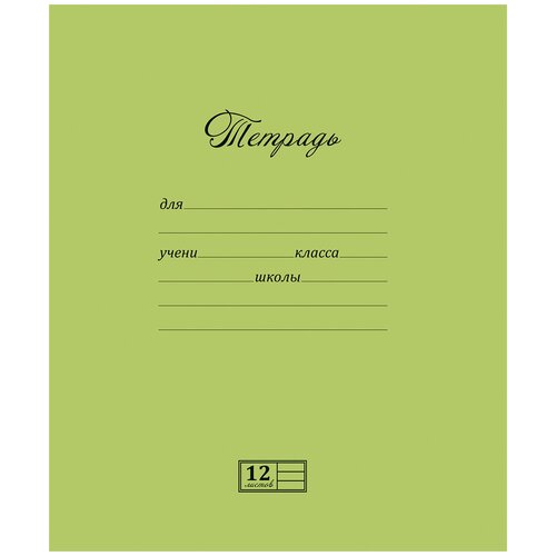 Набор тетрадей Magic Lines, цвет: фисташковый, 12 листов в линейку, 20 шт