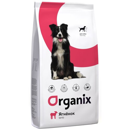 Сухой корм для собак ORGANIX при чувствительном пищеварении, ягненок 1 уп. х 1 шт. х 18 кг сухой корм для собак organix при чувствительном пищеварении индейка 1 уп х 2 шт х 18 кг