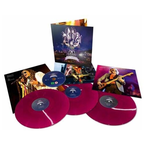 AEROSMITH ROCK DONINGTON 2014, (Coloured Vinyl), 3LP+DVD aerosmith rocks donington 2014