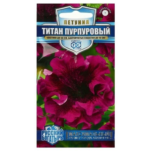 Семена цветов Петуния Титан пурпуровый, бахромчатый, серия Русский Богатырь, 10 шт семена цветов петуния гавриш титан пурпуровый бахромчатый серия русский богатырь 10 шт 6 упаковок