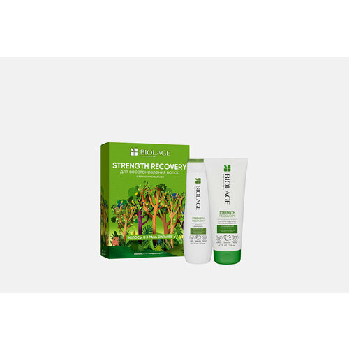 biolage набор strength recovery Набор для восстановления волос BIOLAGE strength recovery / количество 2 шт