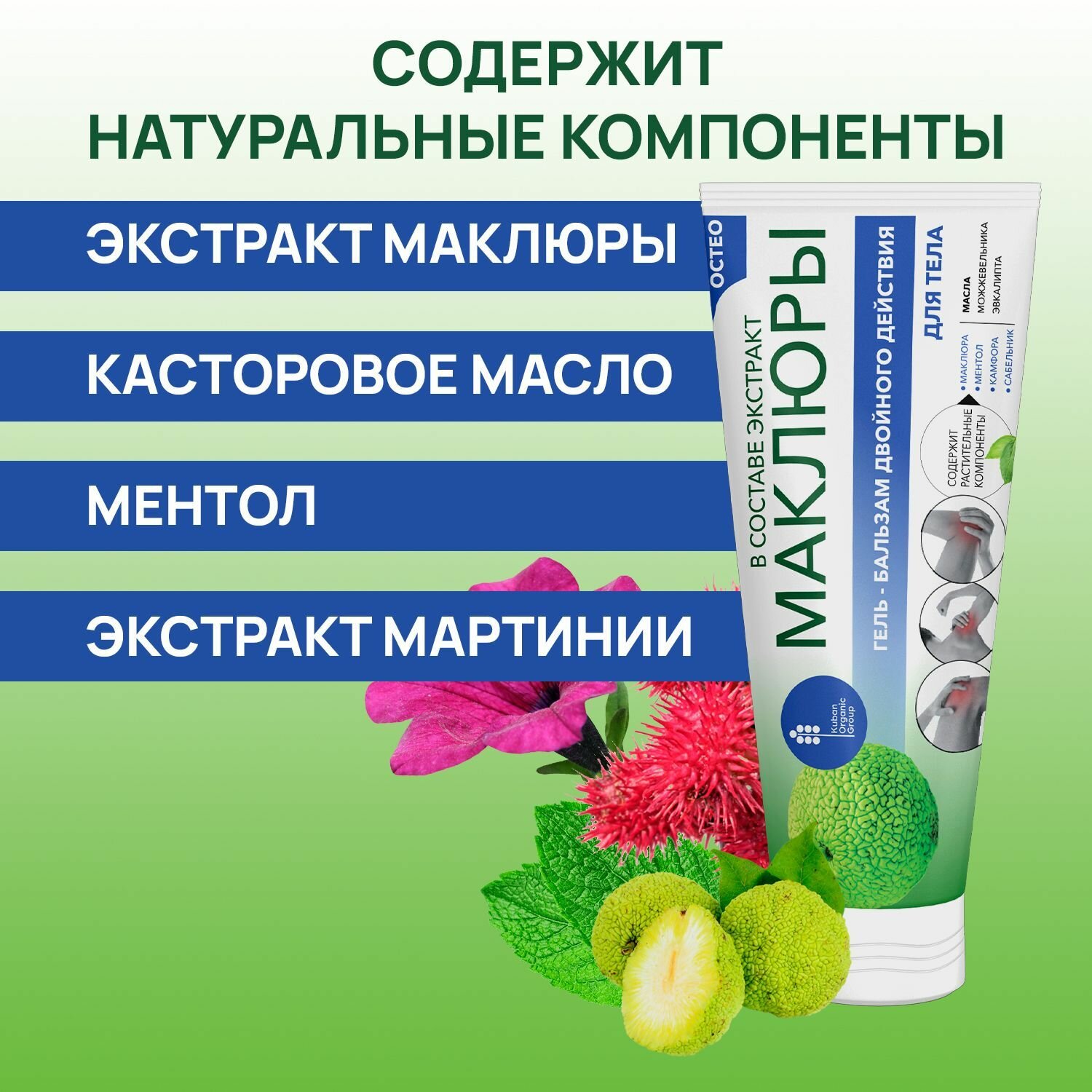 Картинки Гель-бальзам Экстракт маклюры "Остео", двойного действия, для опорно-двигательной системы, 50мл