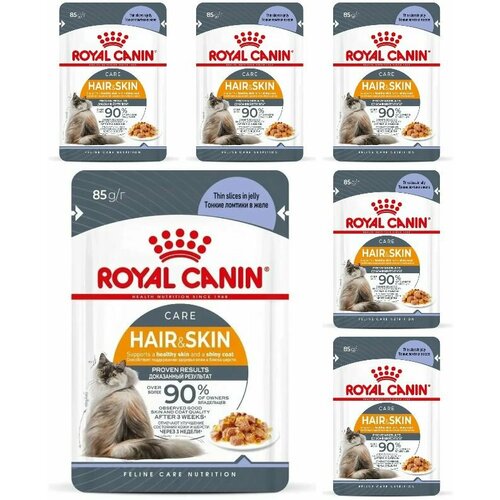 Royal Canin Влажный корм для кошек Hair&Skin, идеальная кожа и шерсть, тонкие ломтики в желе, 85 г, 6 шт