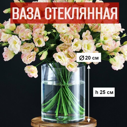 Ваза для цветов и сухоцветов стеклянная прозрачная D20xH25 cм