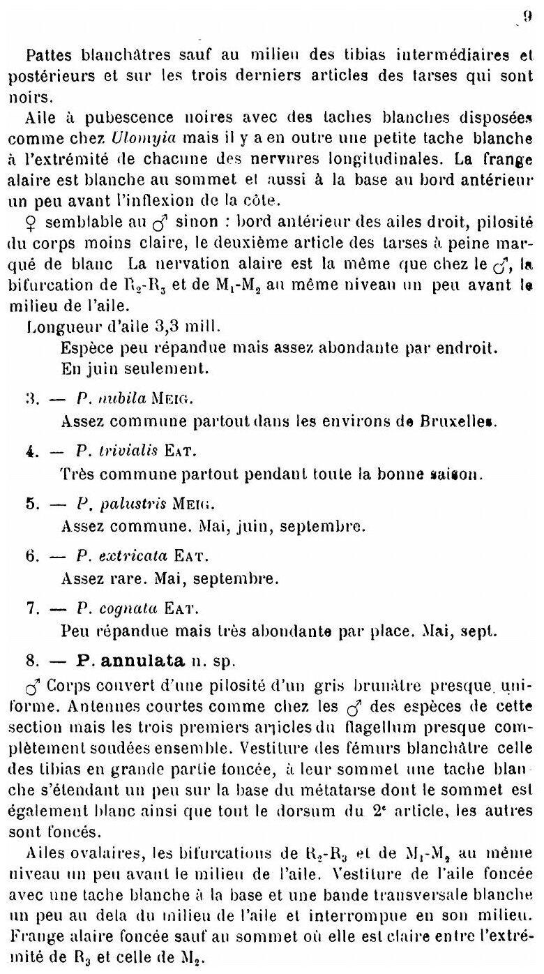 Annales de la Societe entomologique de Belgique - фото №8