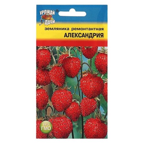 Семена Земляника Александрия рем,0,04 гр семена земляника александрия 0 03 гр