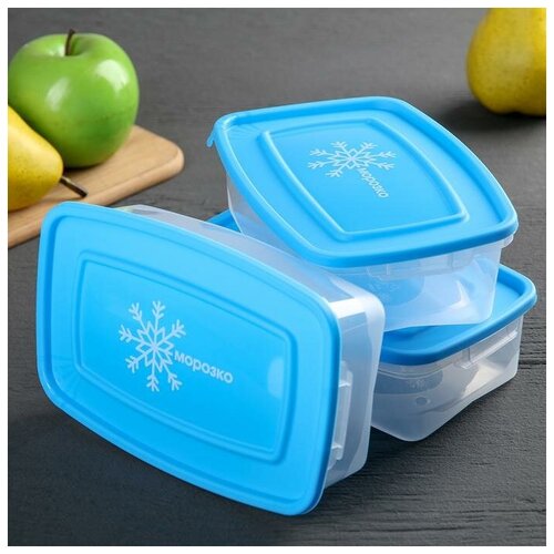 фото Набор пластиковых контейнеров «морозко» skiico kitchenware 700 мл / контейнеры для заморозки голубой