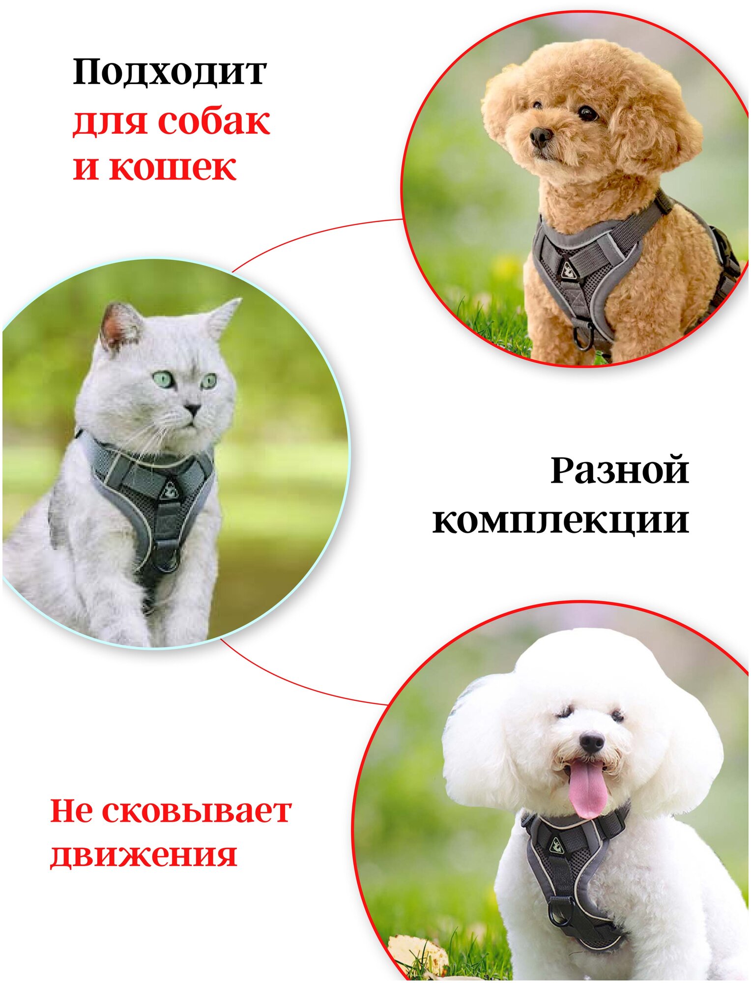 Шлейка прогулочная для собак и кошек регулируемая Wonder Pet / размер M / серая - фотография № 3