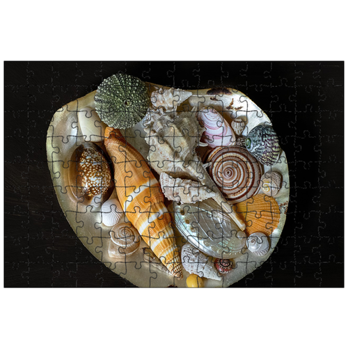 фото Магнитный пазл 27x18см."морские раковины, украшение, декоративный" на холодильник lotsprints