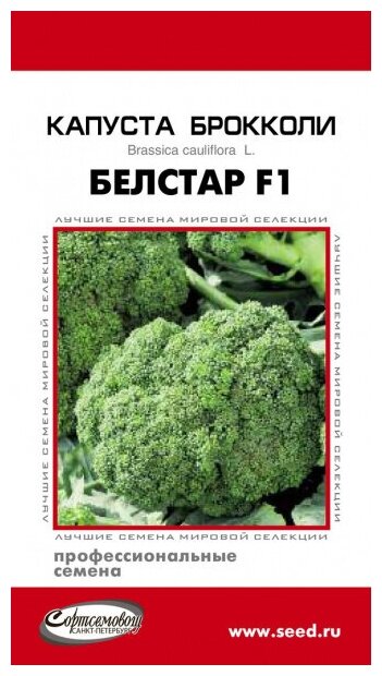 Капуста брокколи Белстар F1 11 семян