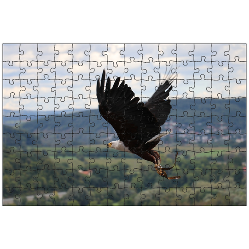 фото Магнитный пазл 27x18см."орел, flying eagle, замок гуттенберг" на холодильник lotsprints