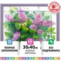 Картина стразами (алмазная мозаика) 30*40 см, остров сокровищ "Сирень", без подрамника, 662571