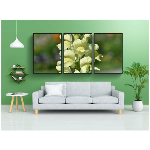 фото Набор модулных постеров для интерьера "львиный зев, цветы, завод" 60x90 см. в тубусе, без рамки lotsprints