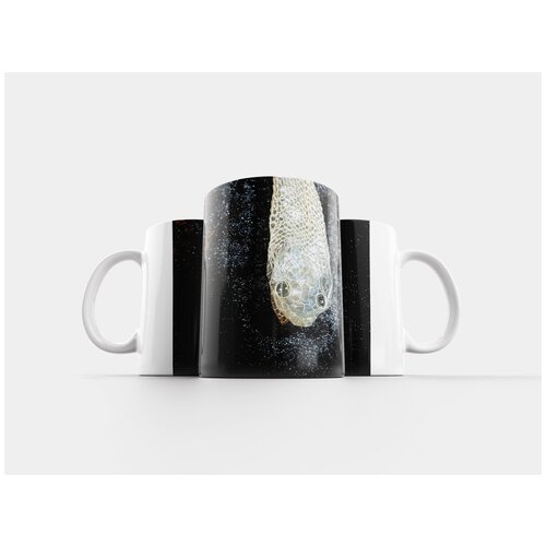 фото Кружка "кукурузная змея, кожа, снятие шкуры" 320 мл lotsprints