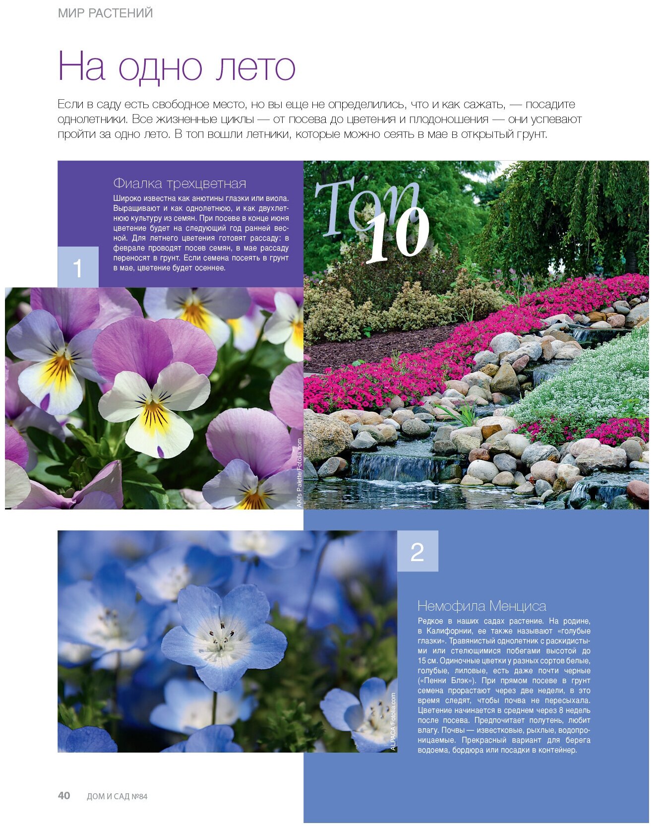 Журнал Дом и сад №3 (84) 2015