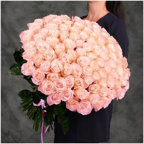 101 нежно-розовая Эквадорская роза 60см