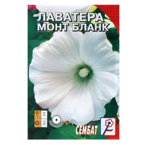 Семена цветов Лаватера белая Монт бланк, 0,2 г 5 упаковок лаватера монт бланк семена цветы