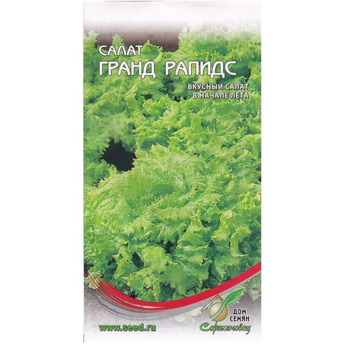 Салат Гранд Рапидс, 420 семян салат витаминный 420 семян