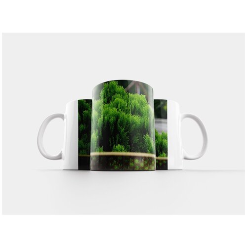 фото Кружка "цветы, зеленый, площадка" 320 мл lotsprints