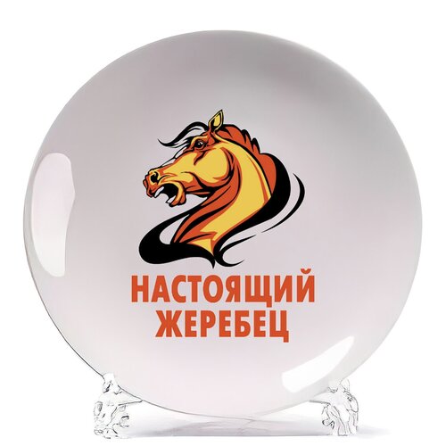 фото Тарелка coolpodarok настоящий жеребец
