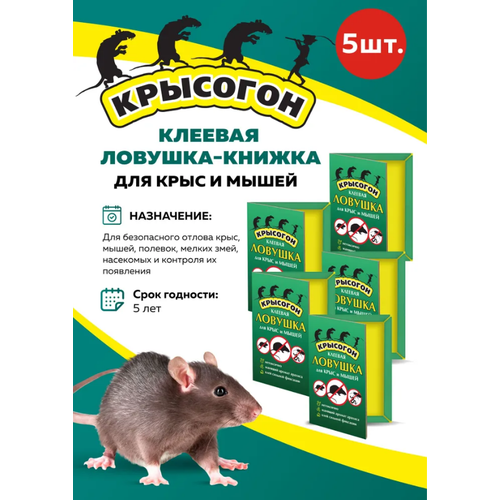 Комплект Клеевая ловушка-книжка для крыс и мышей, 5 штук клеевая ловушка книжка от мышей и крыс 5 штук