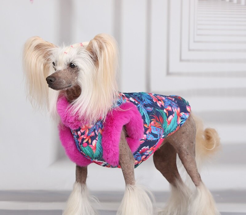 ForMyDogs одежда для собак. Куртка "Цветы" (№ 18 по спинке 36см ) - фотография № 5
