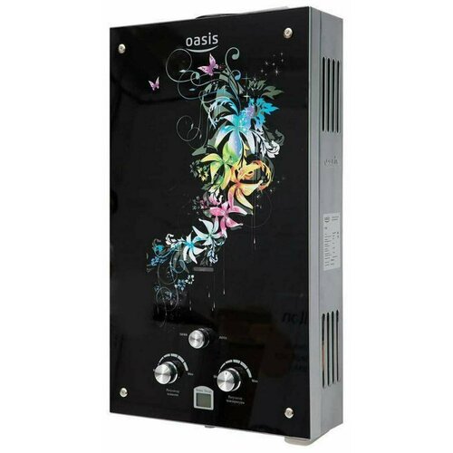 Водонагреватель проточный газовый OASIS 10 GLASS 20 RGN 1093000₽