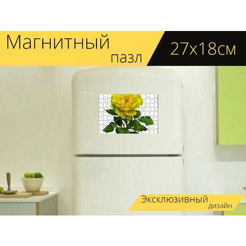 Магнитный пазл Природа, цветок, роза на холодильник 27 x 18 см. магнитный пазл роза желтый природа на холодильник 27 x 18 см