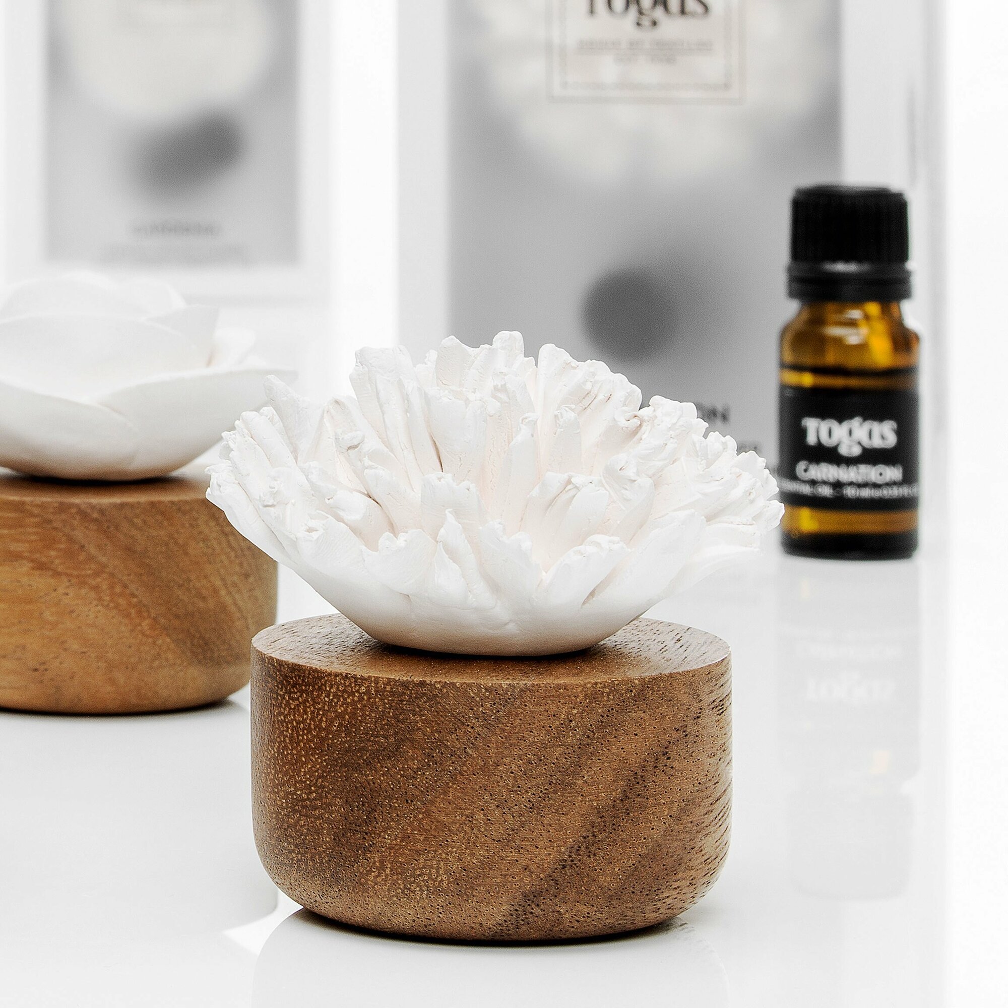 фото Гвоздика, Керамическое саше с ароматическим маслом