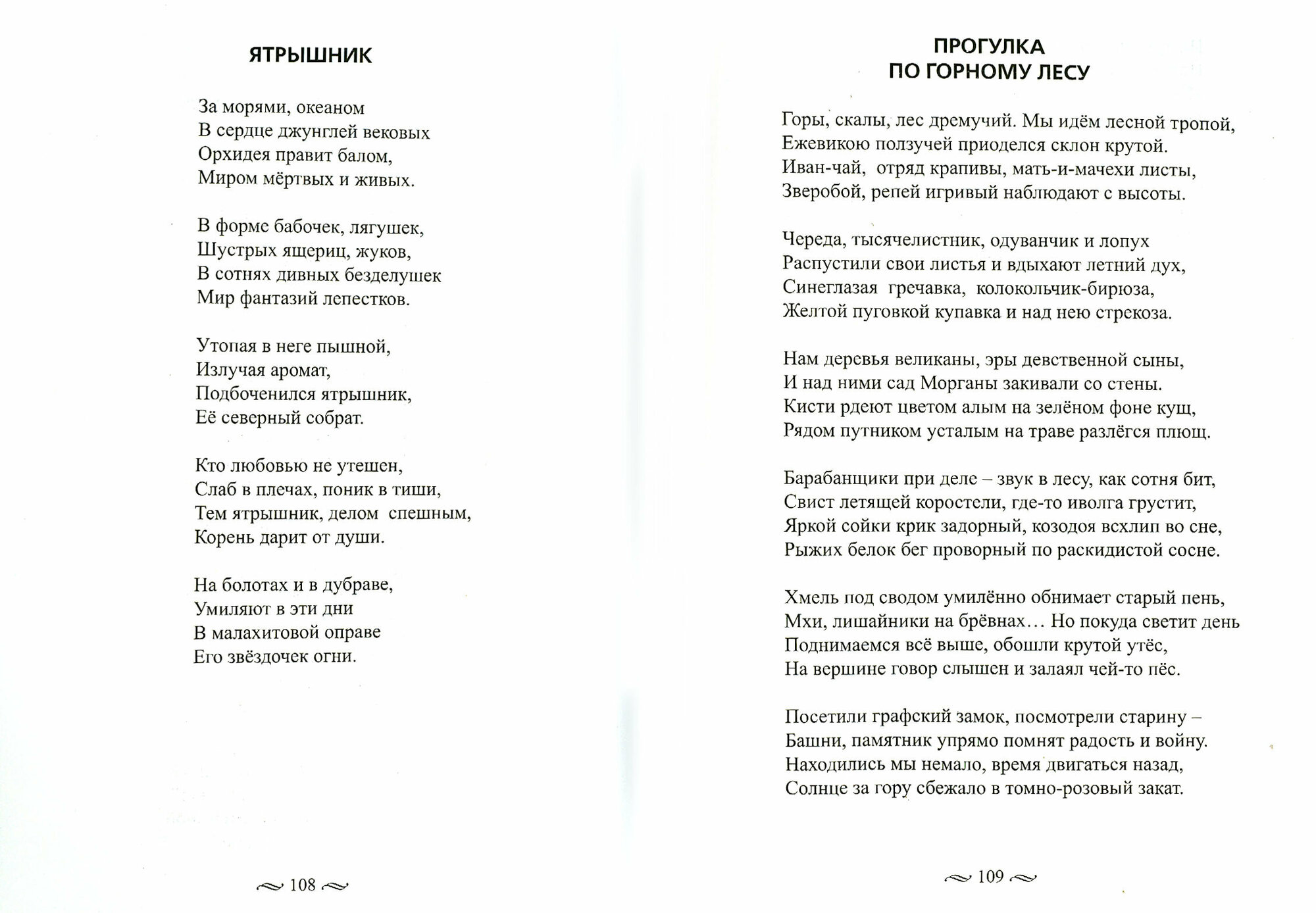 Особый менталитет (Вальд Николина) - фото №2