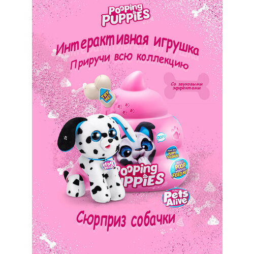 Игровой набор ZURU Pets Alive Щенок в подгузнике со звуковыми эффектами Pooping Puppies