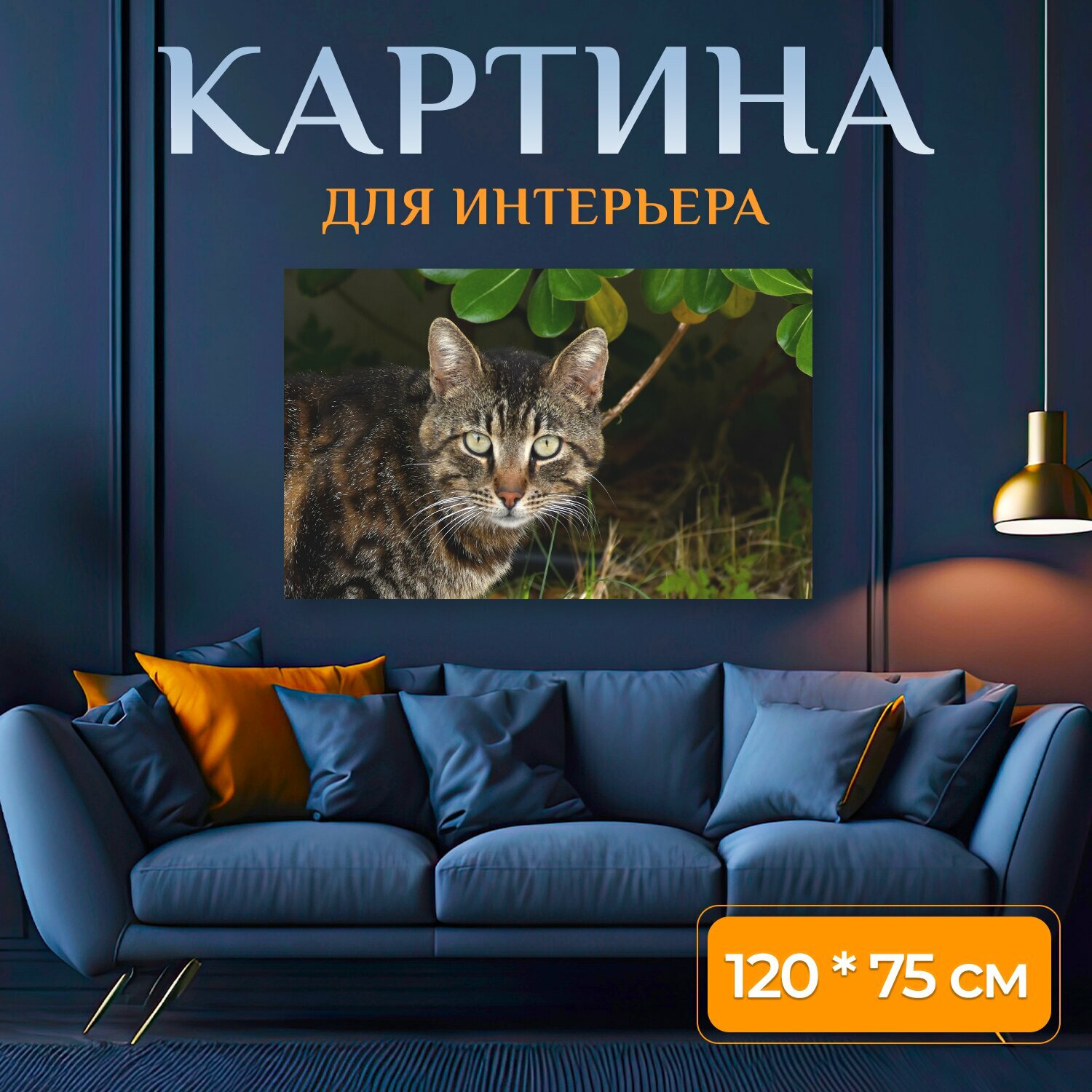 Картина на холсте "Кошка одомашненный котенок" на подрамнике 120х75 см. для интерьера