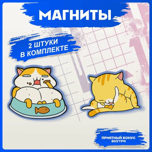 Магниты для доски Котики 280₽