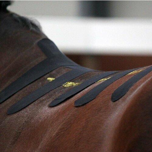 Кинезио тейп ветеринарный Tmax VET 6см x 5м, черный